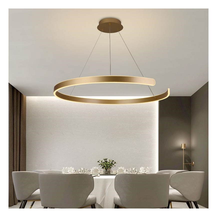 LED Prigušivi luster na sajli LED/100W/230V 3000-6500K pr. 80 cm + Daljinski upravljač