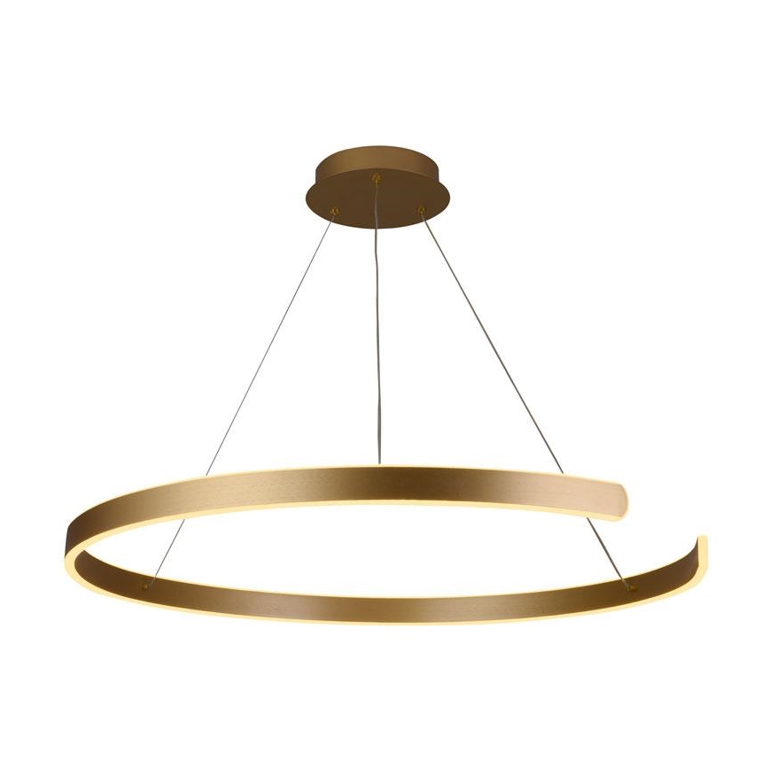 LED Prigušivi luster na sajli LED/100W/230V 3000-6500K pr. 80 cm + Daljinski upravljač