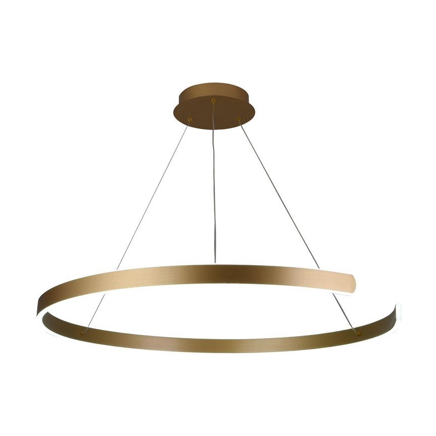 LED Prigušivi luster na sajli LED/100W/230V 3000-6500K pr. 80 cm + Daljinski upravljač