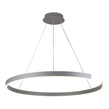 LED Prigušivi luster na sajli LED/100W/230V 3000-6500K pr. 80 cm + Daljinski upravljač
