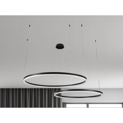 LED Prigušivi luster na sajli LED/100W/230V 3000-6500K pr. 80 cm + Daljinski upravljač