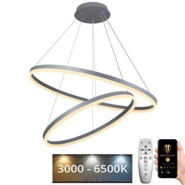 LED Prigušivi luster na sajli LED/100W/230V 3000-6500K pr. 80 cm + Daljinski upravljač