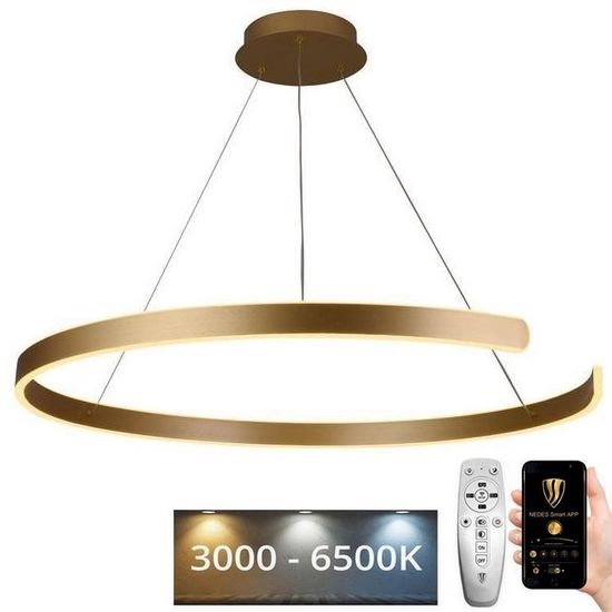 LED Prigušivi luster na sajli LED/100W/230V 3000-6500K pr. 80 cm + Daljinski upravljač