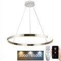 LED Prigušivi luster na sajli LED/100W/230V 3000-6500K pr. 80 cm + Daljinski upravljač