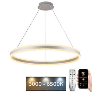 LED Prigušivi luster na sajli LED/110W/230V 3000-6500K + Daljinski upravljač