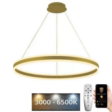 LED Prigušivi luster na sajli LED/110W/230V 3000-6500K + Daljinski upravljač