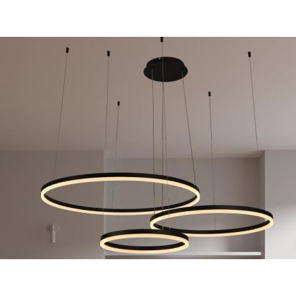 LED Prigušivi luster na sajli LED/125W/230V 3000-6500K pr. 80 cm + Daljinski upravljač