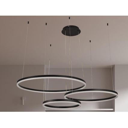 LED Prigušivi luster na sajli LED/125W/230V 3000-6500K pr. 80 cm + Daljinski upravljač