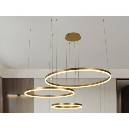 LED Prigušivi luster na sajli LED/125W/230V 3000-6500K pr. 80 cm + Daljinski upravljač