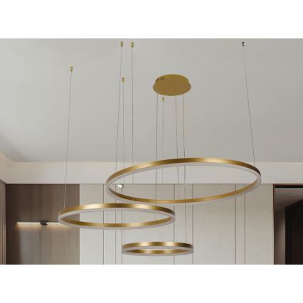LED Prigušivi luster na sajli LED/125W/230V 3000-6500K pr. 80 cm + Daljinski upravljač