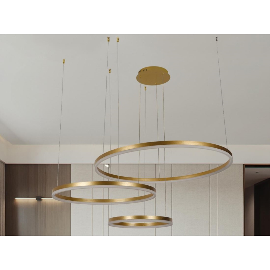 LED Prigušivi luster na sajli LED/125W/230V 3000-6500K pr. 80 cm + Daljinski upravljač