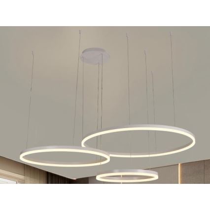 LED Prigušivi luster na sajli LED/125W/230V 3000-6500K pr. 80 cm + Daljinski upravljač