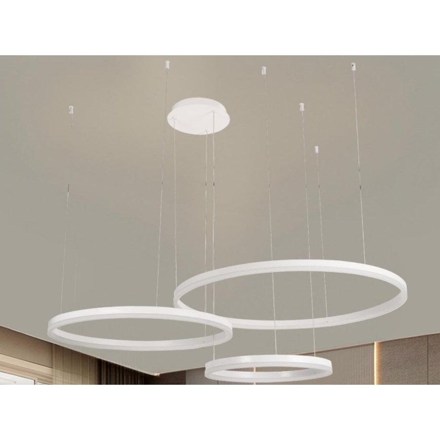 LED Prigušivi luster na sajli LED/125W/230V 3000-6500K pr. 80 cm + Daljinski upravljač