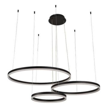 LED Prigušivi luster na sajli LED/125W/230V 3000-6500K pr. 80 cm + Daljinski upravljač
