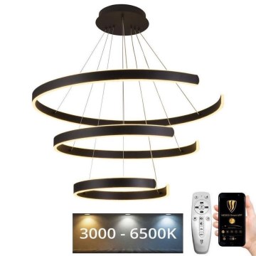 LED Prigušivi luster na sajli LED/220W/230V 3000-6500K pr. 80 cm + Daljinski upravljač