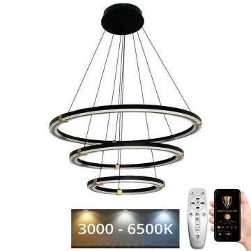 LED Prigušivi luster na sajli LED/235W/230V 3000-6500K + Daljinski upravljač