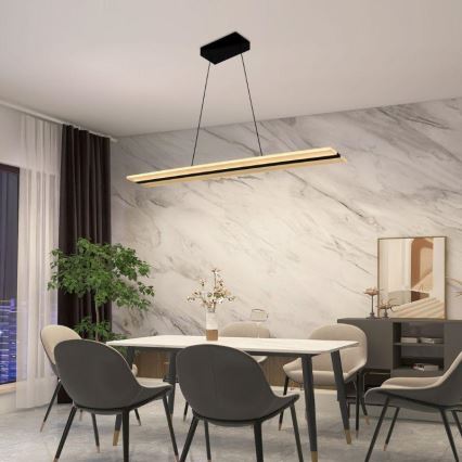 LED Prigušivi luster na sajli LED/40W/230V 3000-6500K crno + Daljinski upravljač