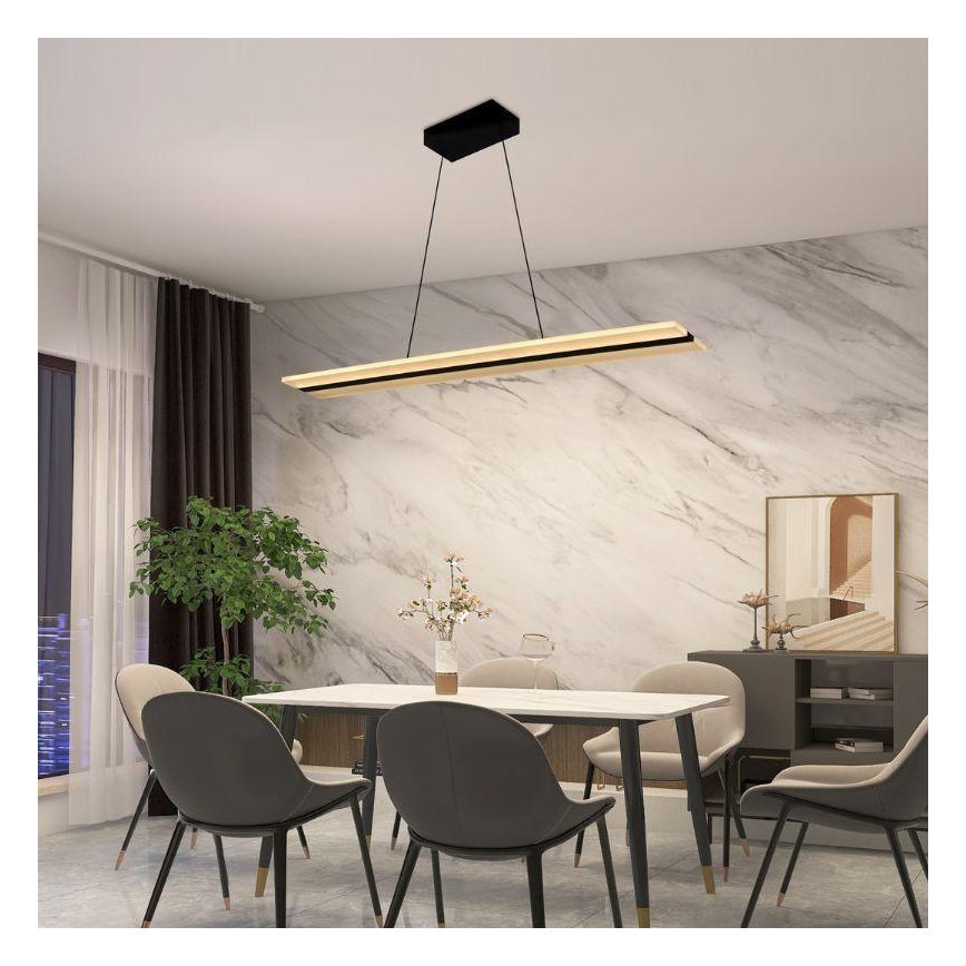 LED Prigušivi luster na sajli LED/40W/230V 3000-6500K crno + Daljinski upravljač