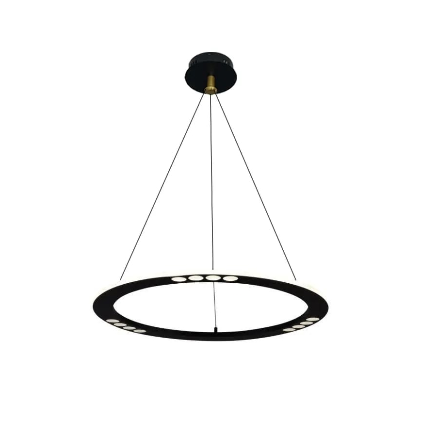 LED Prigušivi luster na sajli LED/40W/230V 3000-6500K + Daljinski upravljač