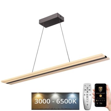 LED Prigušivi luster na sajli LED/40W/230V 3000-6500K krom + Daljinski upravljač
