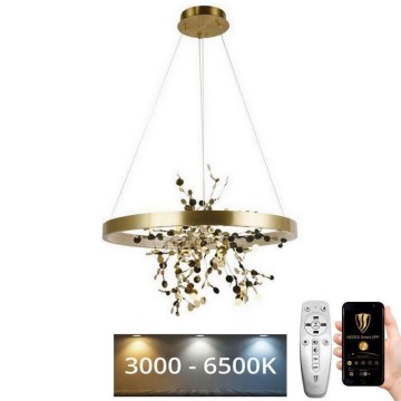 LED Prigušivi luster na sajli LED/40W/230V 3000-6500K zlatna + Daljinski upravljač