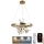 LED Prigušivi luster na sajli LED/40W/230V 3000-6500K zlatna + Daljinski upravljač