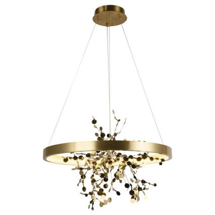 LED Prigušivi luster na sajli LED/40W/230V 3000-6500K zlatna + Daljinski upravljač