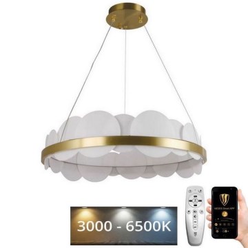 LED Prigušivi luster na sajli LED/40W/230V 3000-6500K zlatna + Daljinski upravljač