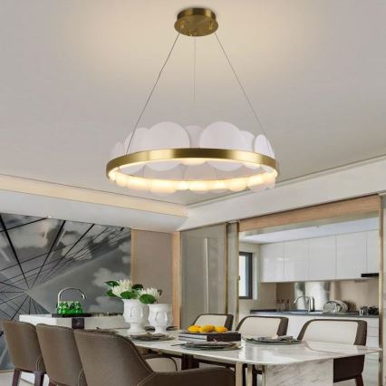 LED Prigušivi luster na sajli LED/40W/230V 3000-6500K zlatna + Daljinski upravljač