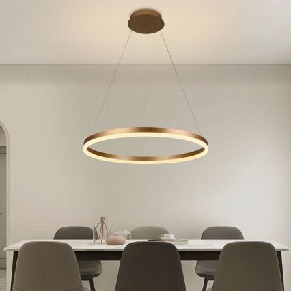 LED Prigušivi luster na sajli LED/42W/230V 3000-6500K pr. 60 cm + Daljinski upravljač