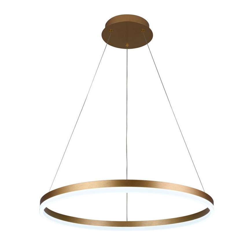 LED Prigušivi luster na sajli LED/42W/230V 3000-6500K pr. 60 cm + Daljinski upravljač