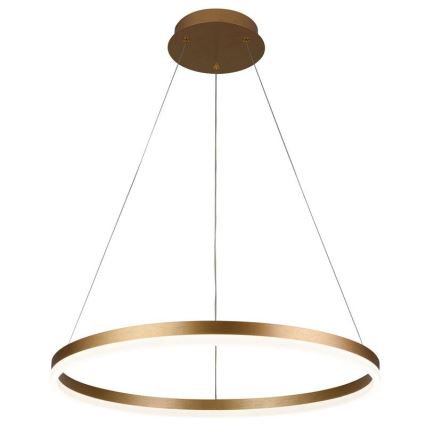 LED Prigušivi luster na sajli LED/42W/230V 3000-6500K pr. 60 cm + Daljinski upravljač