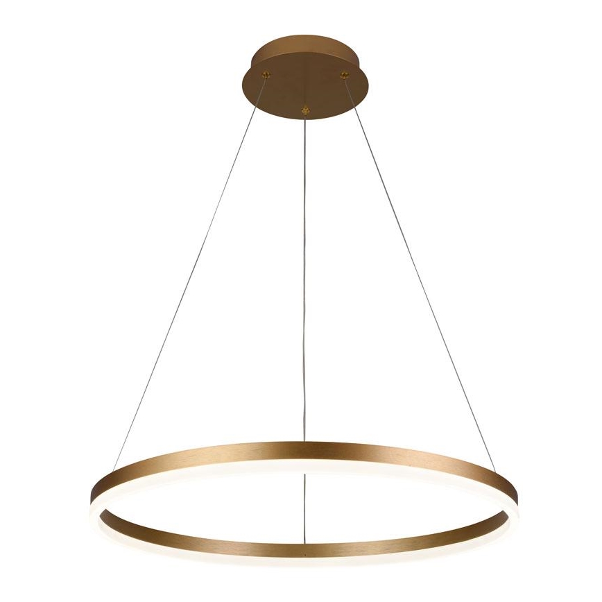 LED Prigušivi luster na sajli LED/42W/230V 3000-6500K pr. 60 cm + Daljinski upravljač