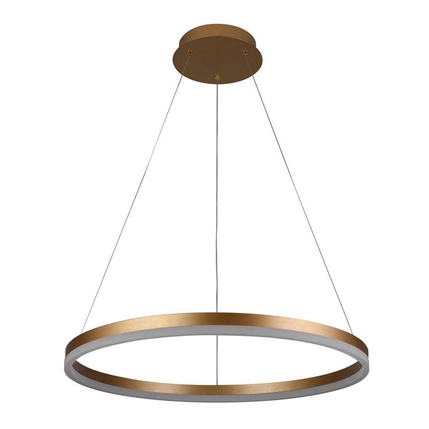 LED Prigušivi luster na sajli LED/42W/230V 3000-6500K pr. 60 cm + Daljinski upravljač