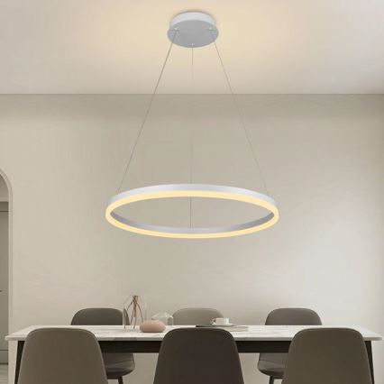LED Prigušivi luster na sajli LED/42W/230V 3000-6500K pr. 60 cm + Daljinski upravljač