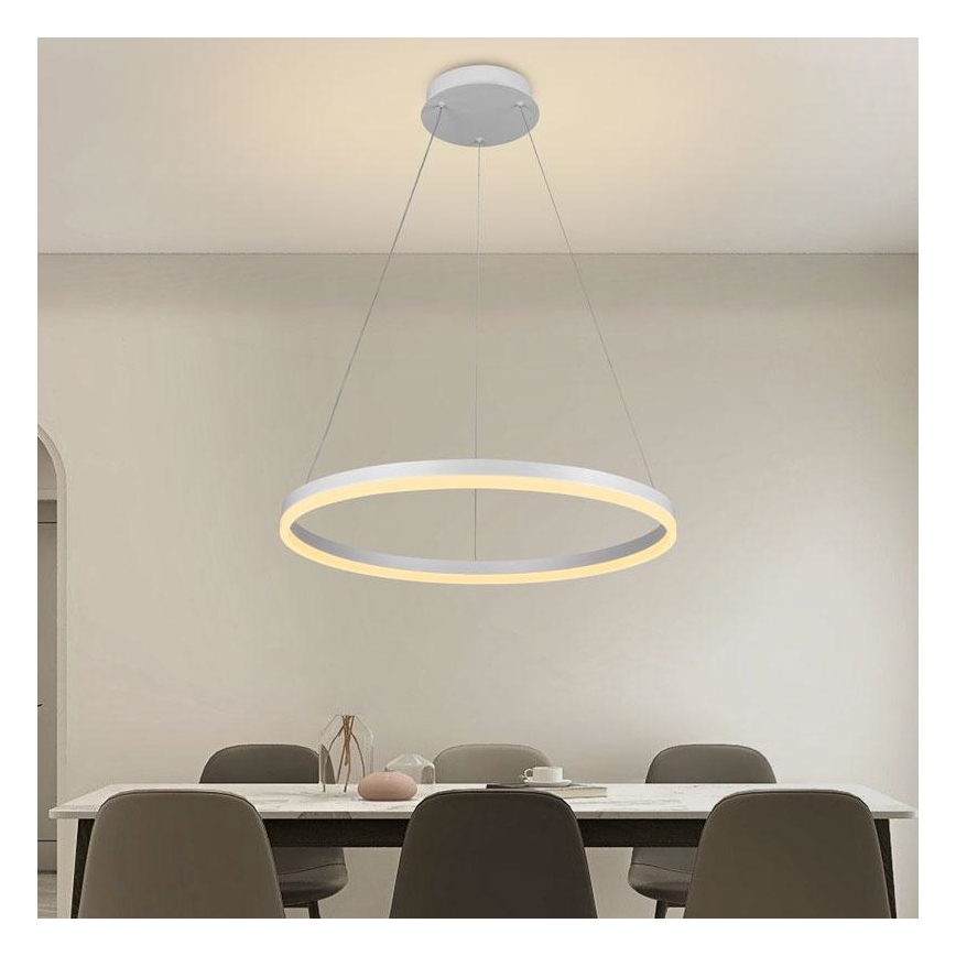 LED Prigušivi luster na sajli LED/42W/230V 3000-6500K pr. 60 cm + Daljinski upravljač