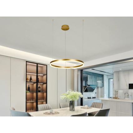 LED Prigušivi luster na sajli LED/42W/230V 3000-6500K pr. 60 cm + Daljinski upravljač
