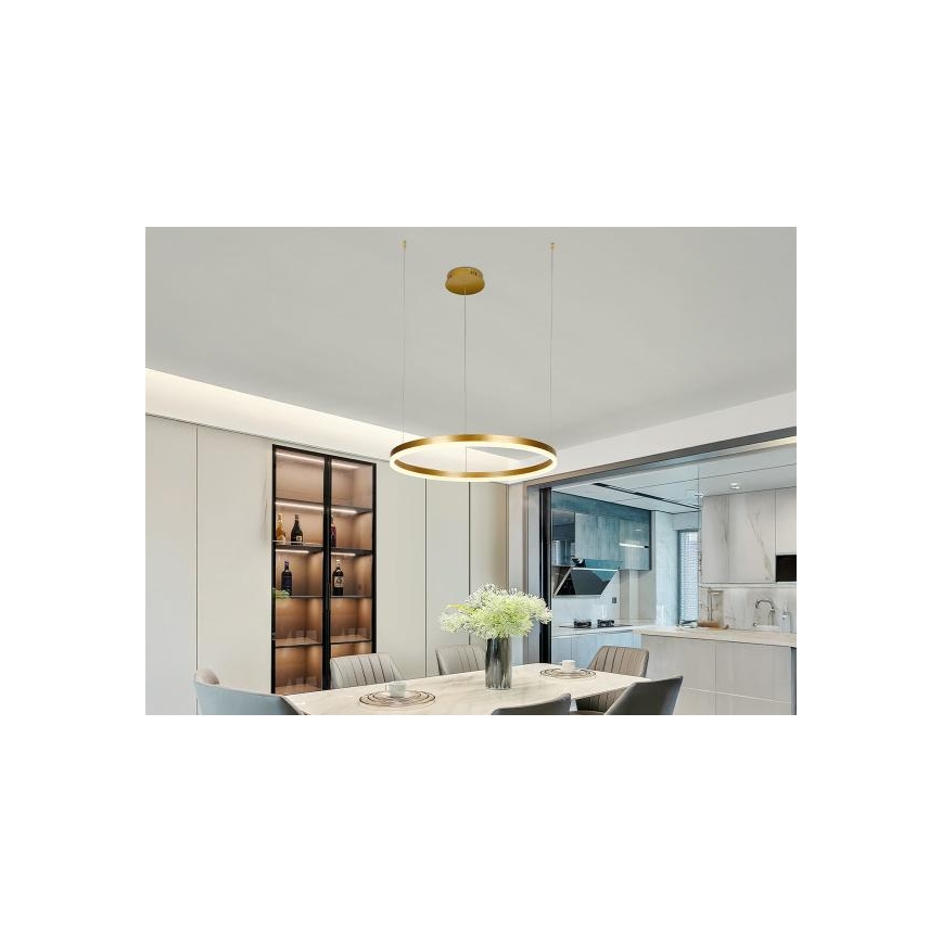 LED Prigušivi luster na sajli LED/42W/230V 3000-6500K pr. 60 cm + Daljinski upravljač