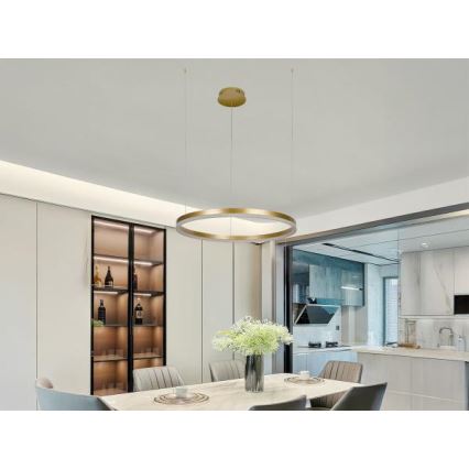 LED Prigušivi luster na sajli LED/42W/230V 3000-6500K pr. 60 cm + Daljinski upravljač