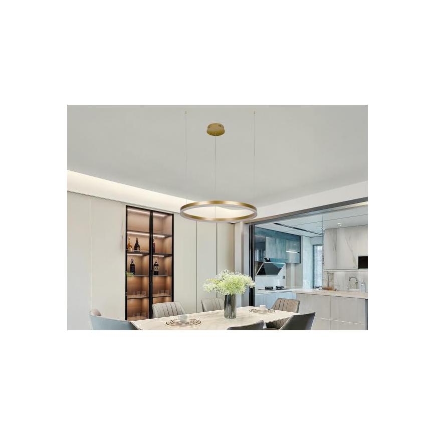 LED Prigušivi luster na sajli LED/42W/230V 3000-6500K pr. 60 cm + Daljinski upravljač
