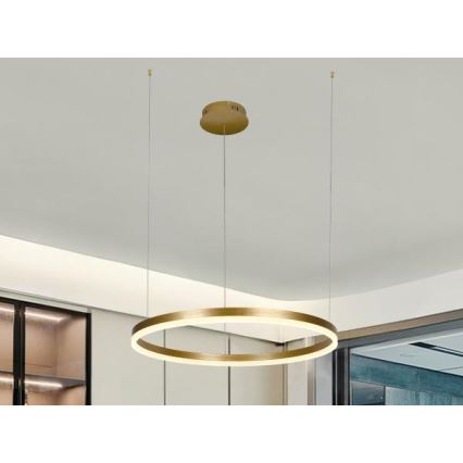 LED Prigušivi luster na sajli LED/42W/230V 3000-6500K pr. 60 cm + Daljinski upravljač