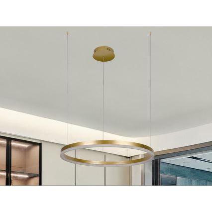 LED Prigušivi luster na sajli LED/42W/230V 3000-6500K pr. 60 cm + Daljinski upravljač