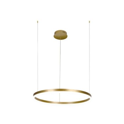 LED Prigušivi luster na sajli LED/42W/230V 3000-6500K pr. 60 cm + Daljinski upravljač