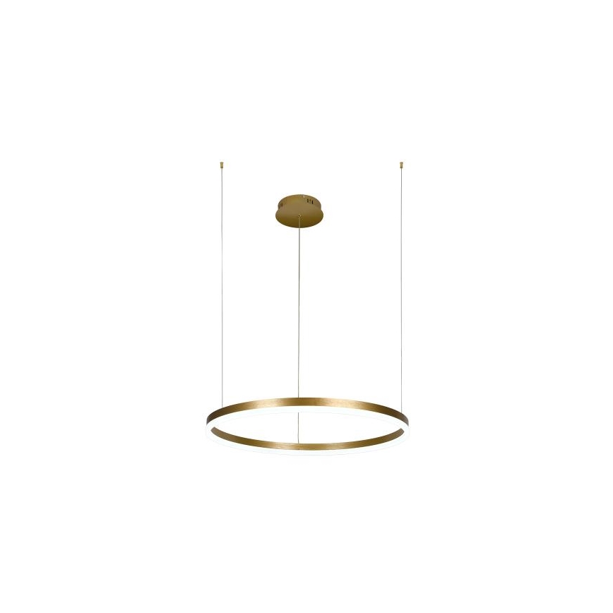 LED Prigušivi luster na sajli LED/42W/230V 3000-6500K pr. 60 cm + Daljinski upravljač