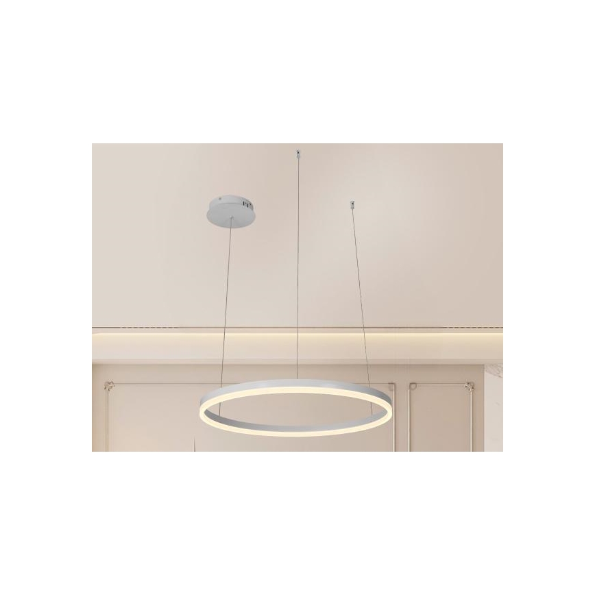 LED Prigušivi luster na sajli LED/42W/230V 3000-6500K pr. 60 cm + Daljinski upravljač