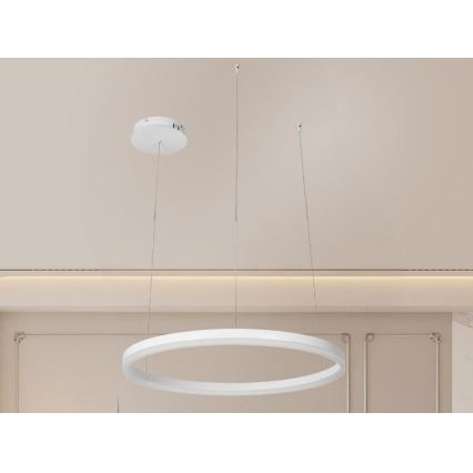LED Prigušivi luster na sajli LED/42W/230V 3000-6500K pr. 60 cm + Daljinski upravljač