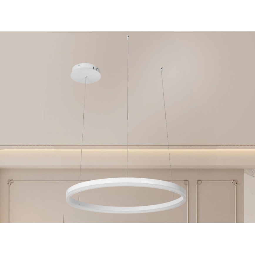 LED Prigušivi luster na sajli LED/42W/230V 3000-6500K pr. 60 cm + Daljinski upravljač
