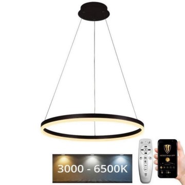 LED Prigušivi luster na sajli LED/42W/230V 3000-6500K pr. 60 cm + Daljinski upravljač