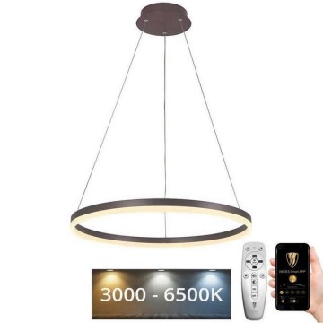 LED Prigušivi luster na sajli LED/42W/230V 3000-6500K pr. 60 cm + Daljinski upravljač