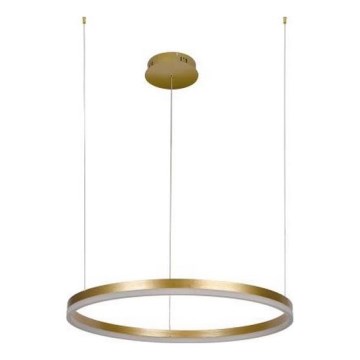 LED Prigušivi luster na sajli LED/42W/230V 3000-6500K pr. 60 cm + Daljinski upravljač